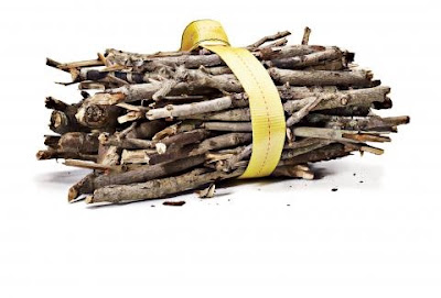HAUL FIREWOOD WITH A WEB STRAP!