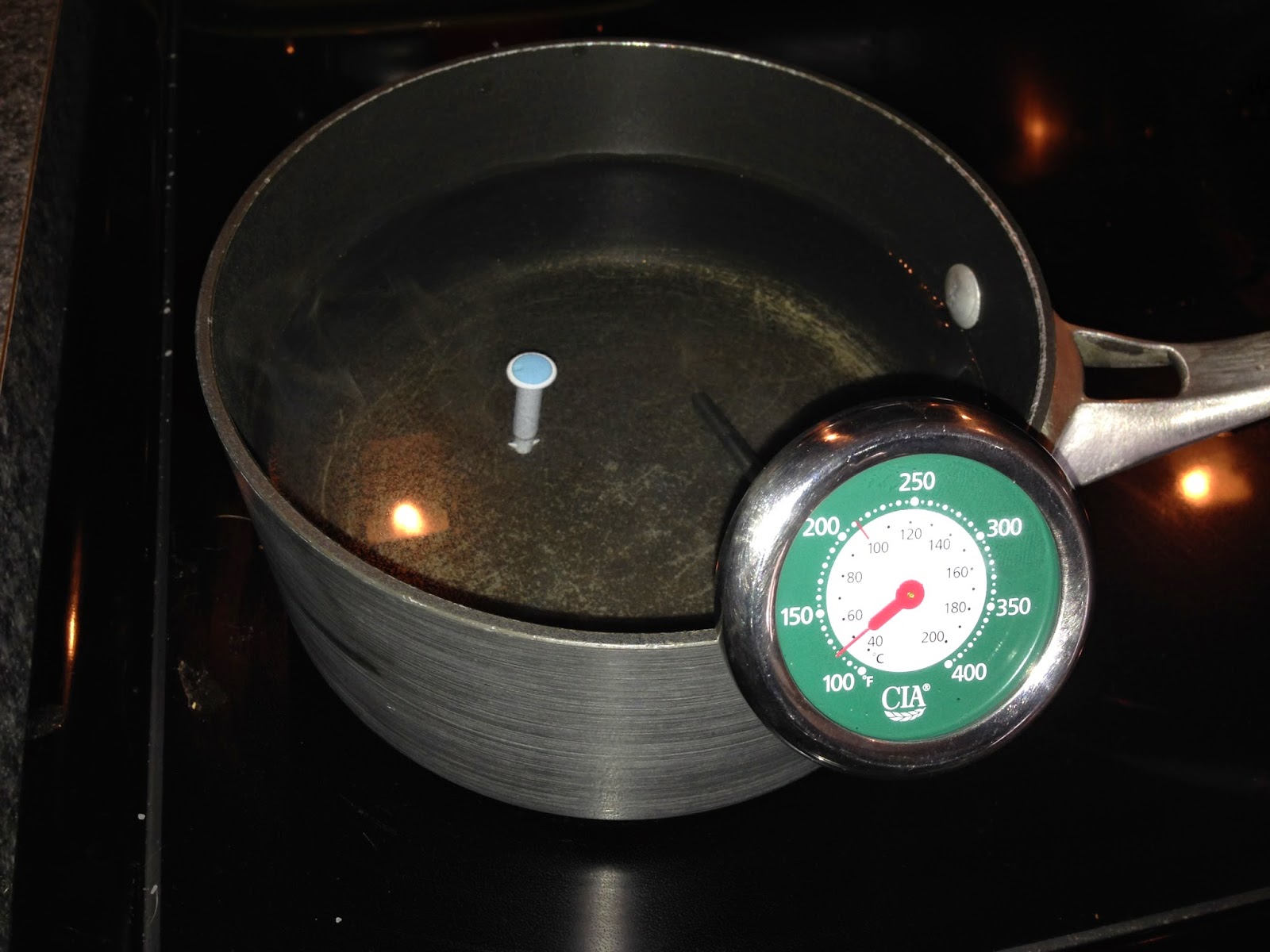 Water pasteurization with a typical pop-up turkey timer!