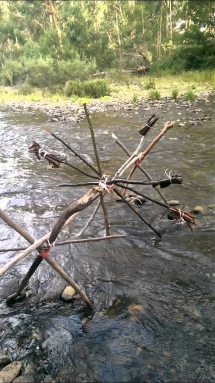 Hydrotisserie Chicken 10