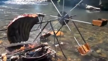 Hydrotisserie Chicken 11
