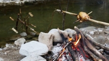 Hydrotisserie Chicken 5