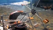 Hydrotisserie Chicken 6