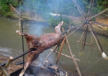 Hydrotisserie Chicken 8