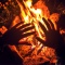 Fire – The Survivalist’s Best Friend!