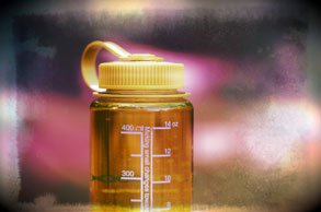 Survival Hydration Nalgene Bottle