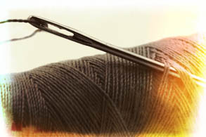 Survival Sewing Kit Needle 