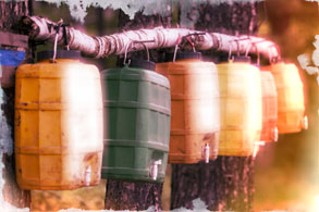 Plastic water tanks hanging suspended from a branch in a camping or survival scenario